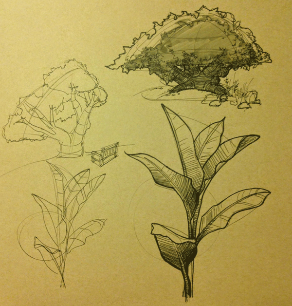 Art Improvement Log Dynamic sketching homework and plants from life
