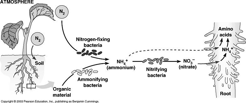√Latihan Soal dan Jawaban KSM IPA Terintegrasi MTs 2019 (+Pdf)