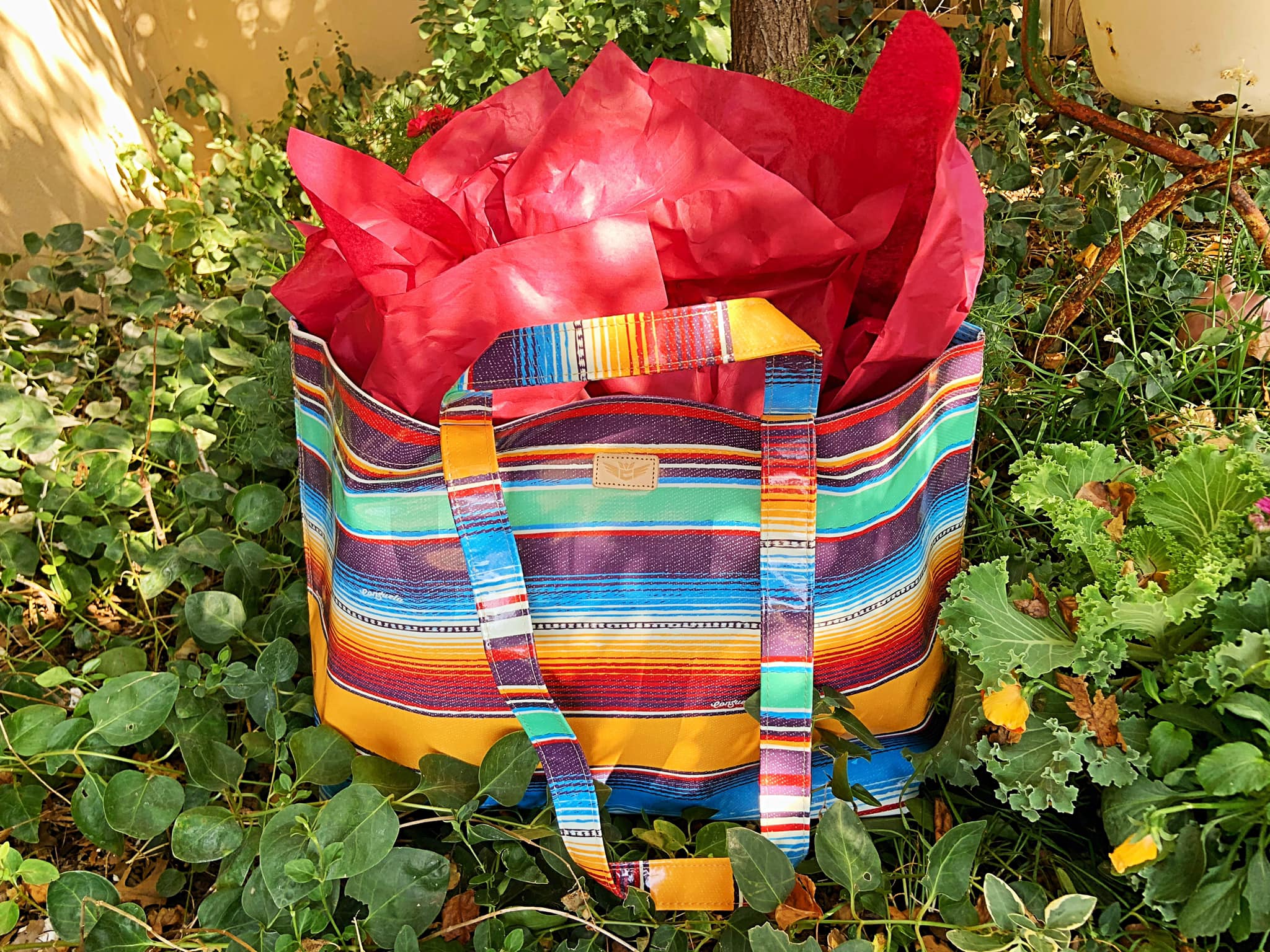 . Fall Consuela Bags🌈