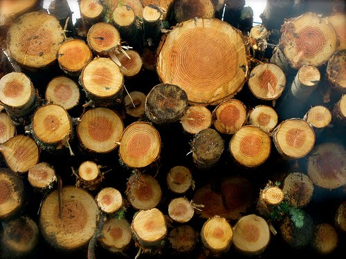 Logs & Poles