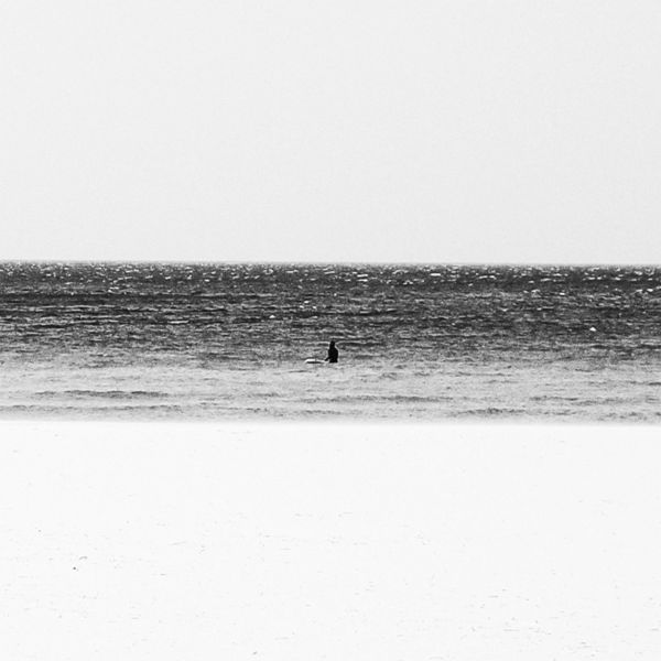 FRED. – dot – Single