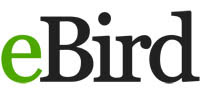 eBird logo