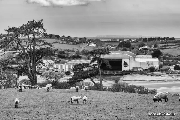 Appledore Shipyard on the banks of the Torridge Estuary, North Devon Photo copyright Pat Adams North Devon Focus (All Rights Reserved)