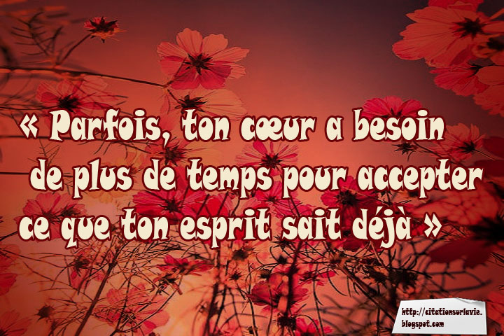 Citation du jour Citation sur la vie Citation du jour Citation sur la vie