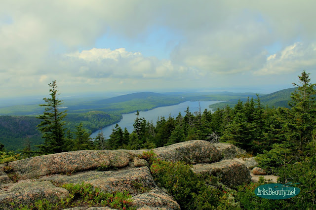 ART IS BEAUTY: Tips on Navigating Acadia National Park