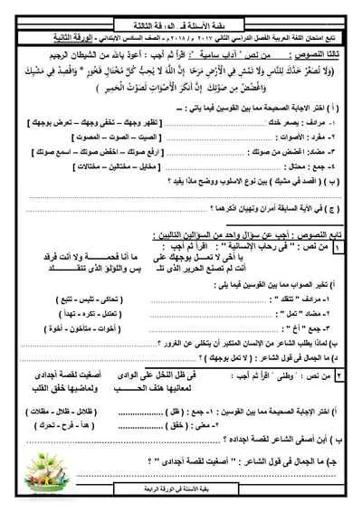 امتحان اللغة العربية للصف السادس الابتدائي مدرسة الشهداء الابتدائية بالأقصر ترم ثاني 2018