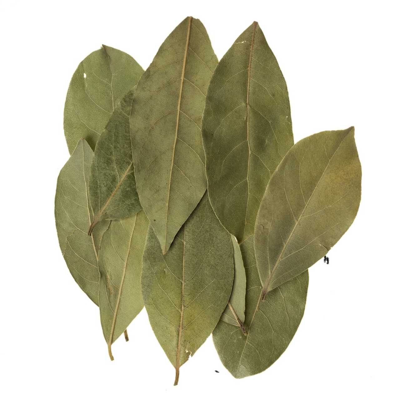 There's a Hippy in the Kitchen The Benefits of Bay Leaves
