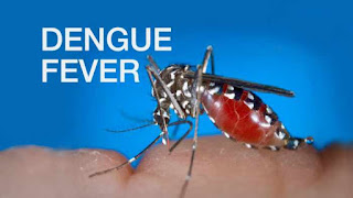 DENGUE MOSQUITO 16 x 9