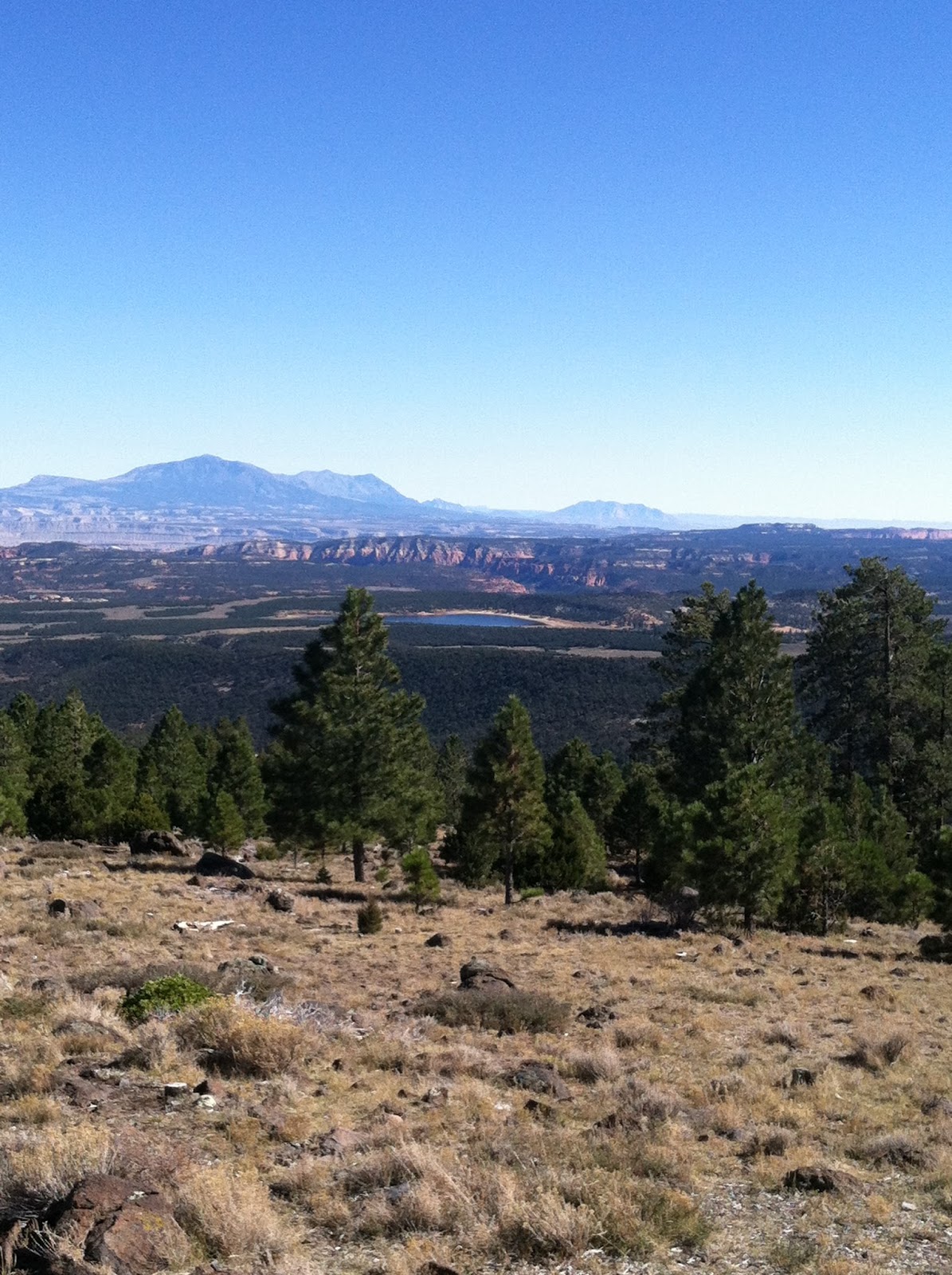 The Moon Hut Project