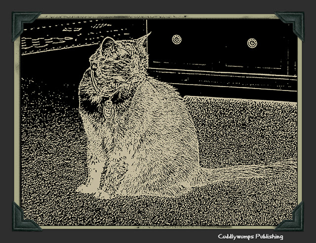 Real Cat Paisley with stamp filter