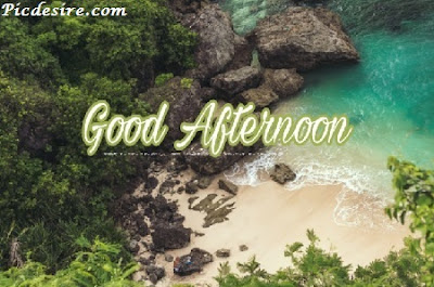 Best 50 Good Afternoon Images 2020 || Good Afternoon Images for Whatsapp Best 50 Good Afternoon Images 2020 || Good Afternoon Images for Whatsapp