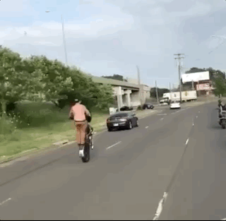 how_did_they_even_get_their_driving_licenses_20.gif
