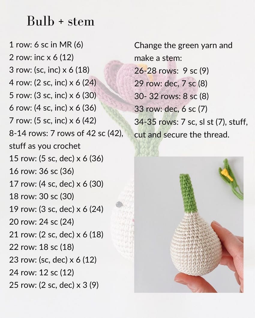 Crochet crocus pattern