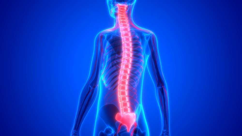 Spinal cord injury