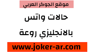 حالات واتس اب بالانجليزي رائعة جدا 2021 - haileythedog