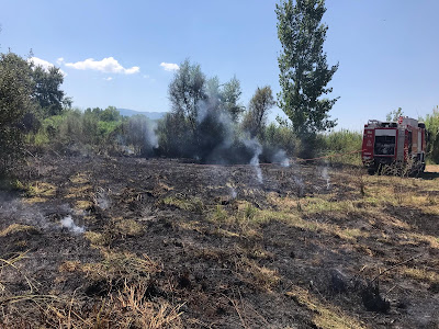 Πυρκαγιά σε καλάμια ξέσπασε στην περιοχή Αμπάρια Παναιτωλίου