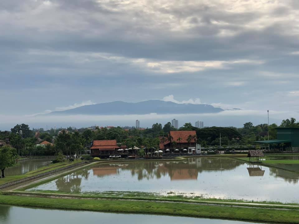 Chiang Mai Rice Life