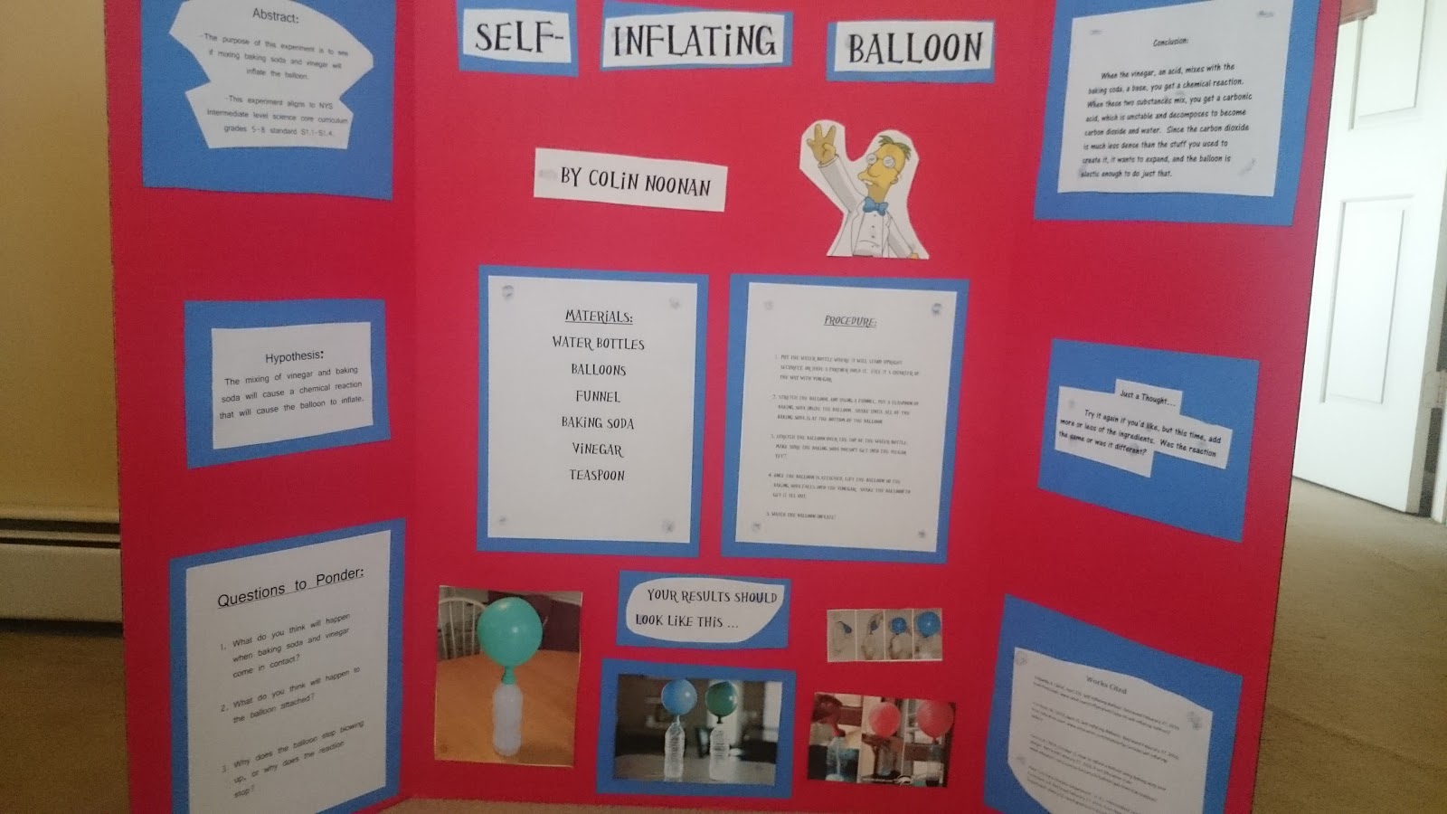 Colin's Dynamic Discoveries : Final Thoughts on the Science Fair