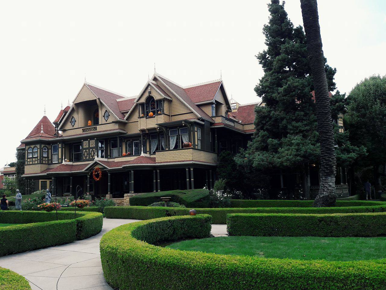 Winchester Mystery House Tour & Experience Rooting Branches
