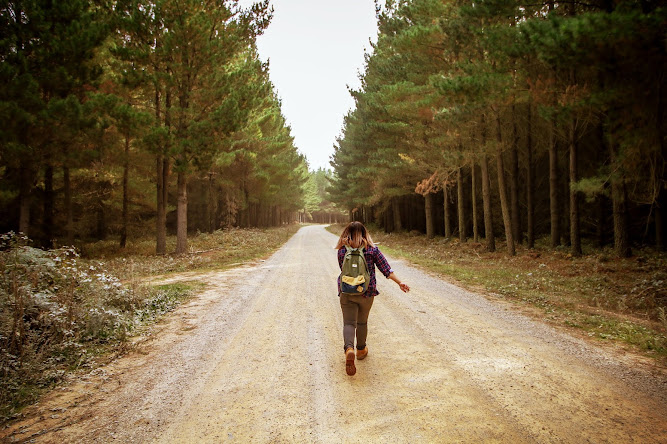 State Forests at Black Springs Oberon NSW