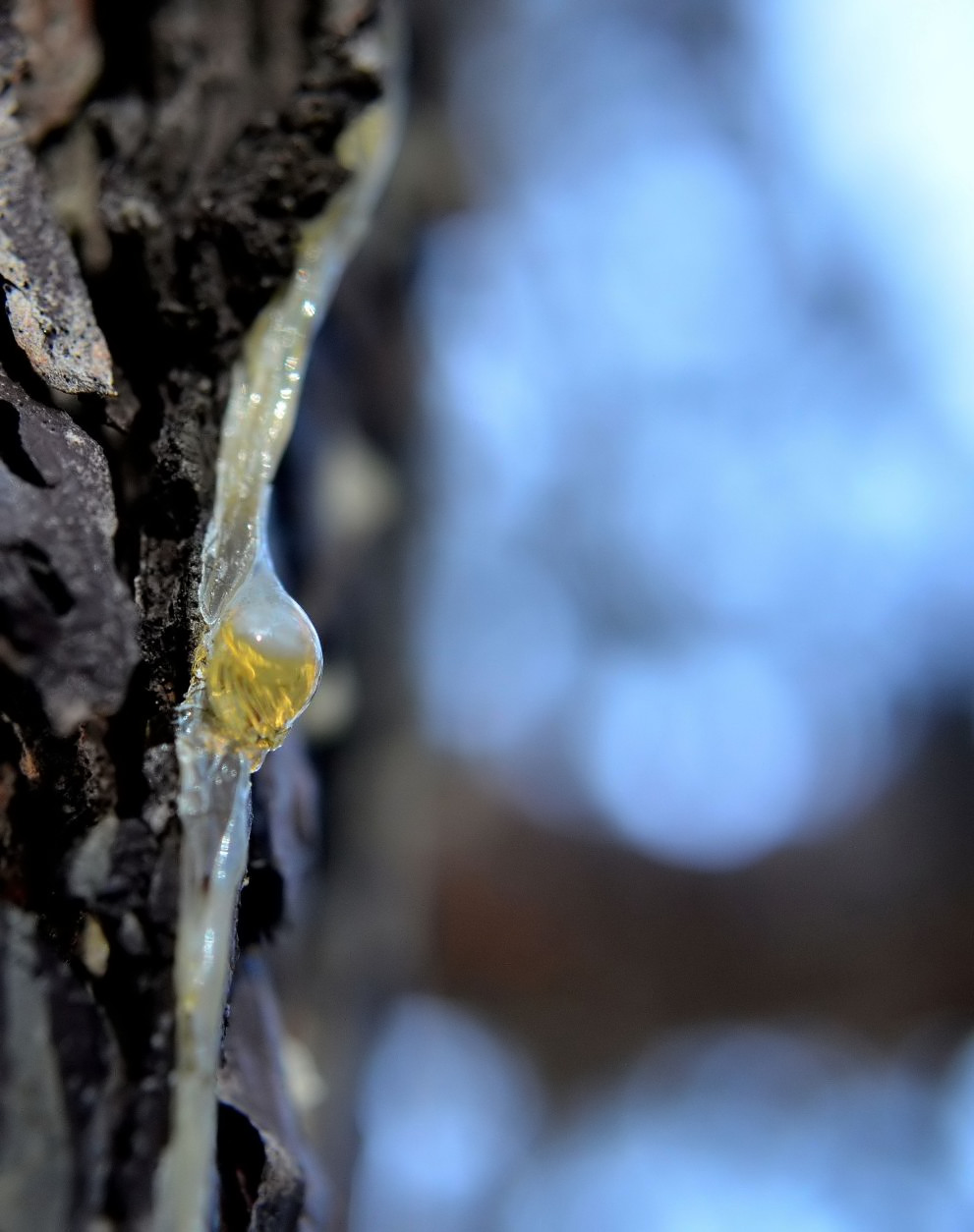 Random Images from a Nightowl This and That January 2012