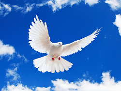 dove wallpapers backgrounds holy spirit doves flying bird background peace birds lame cherry pigeon wallpapersafari flight graphics christian symbol colomba