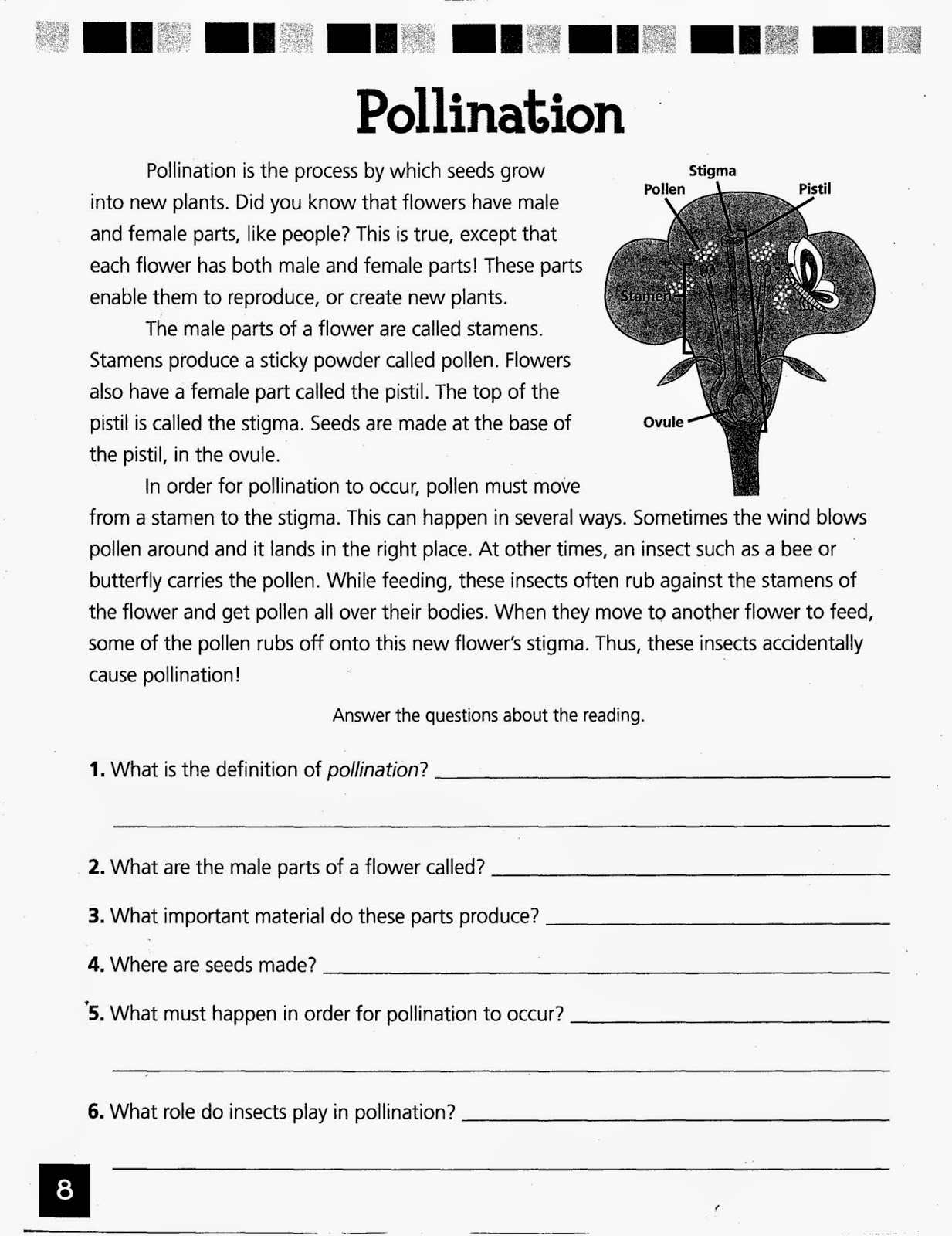 Grade 5C Blog: Homework