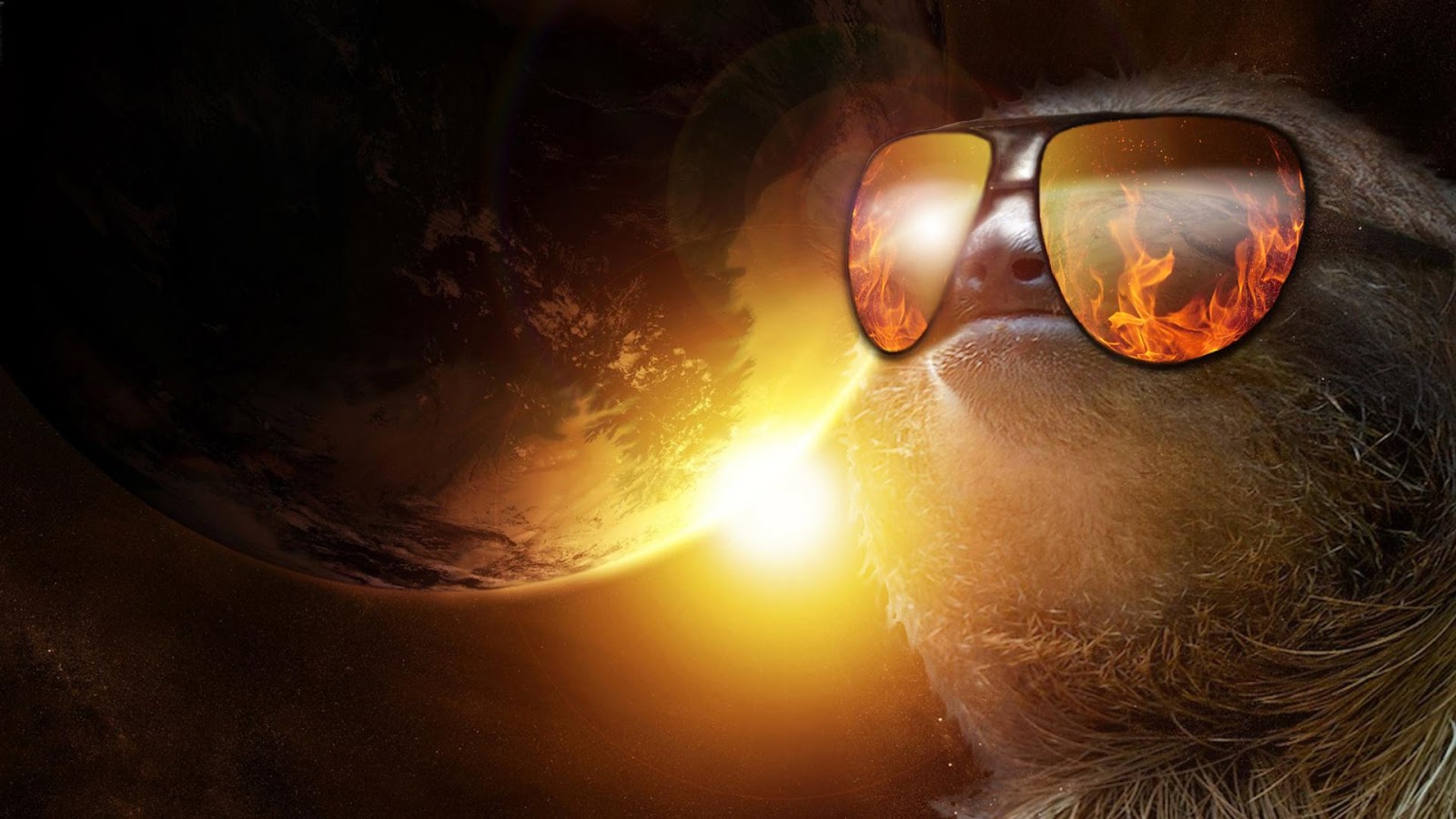 Sloth Wallpapers Sloth Wallpapers