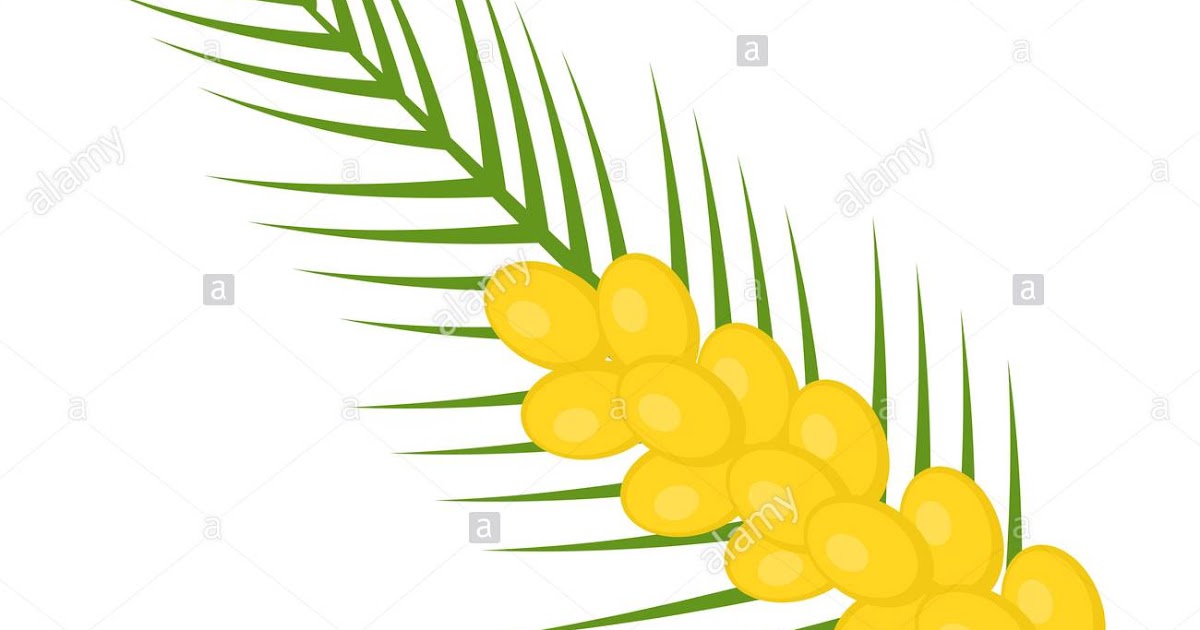 الخصائص الغذائيّة للتمر PROPIEDADES ALIMENTARIAS DE LOS DÁTILES | Fénix ...