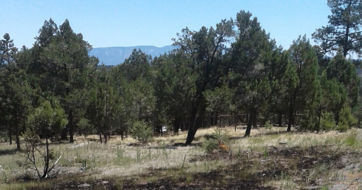 Sun Valley, La Junta & Little Creek Estates Subdivisions in Alto, NM