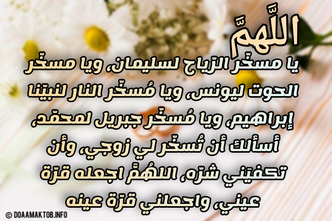 جلسات ارضية عربية