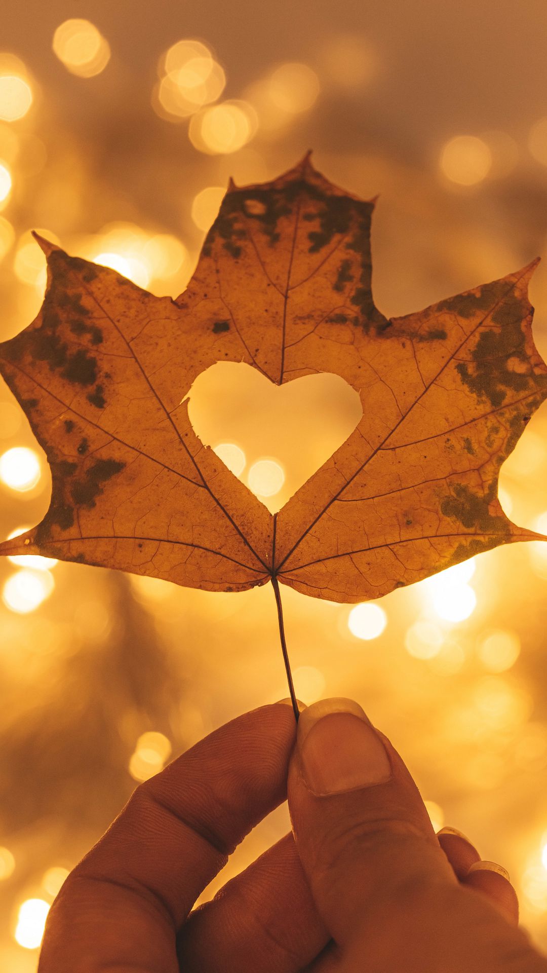 Wallpaper Heart, Maple, Hand, Autumn, Leaf
