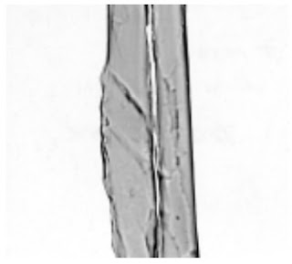 Longitudinal-View-500X-silk-fibre