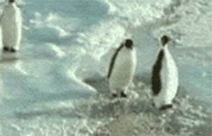 penguin-push.gif