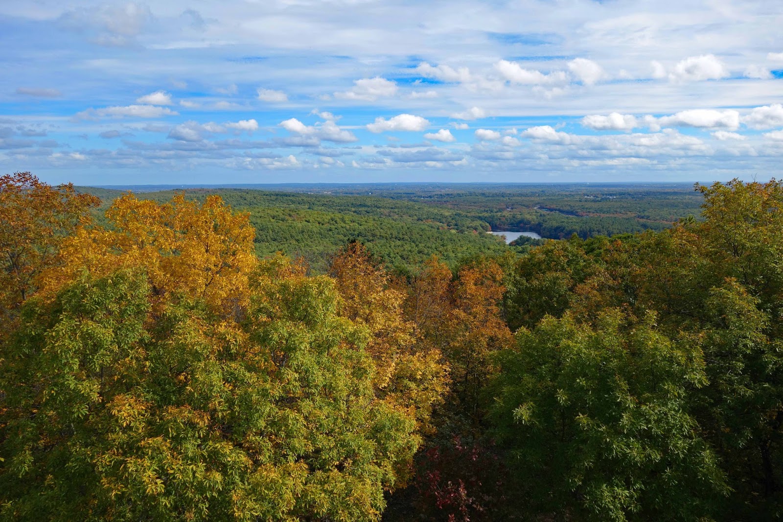 Joe's Retirement Blog Blue Hills Reservation, Milton, Canton