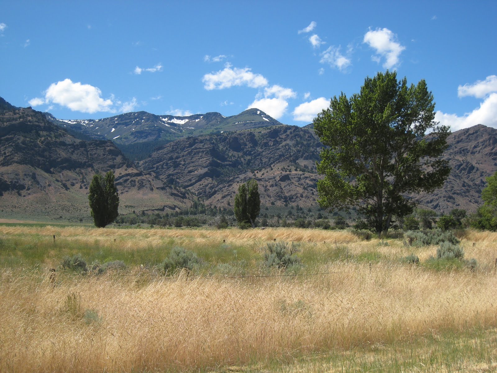 Great Basin Trip 2011 by Anne Rempel and Jonathan Barrera Day 3 En