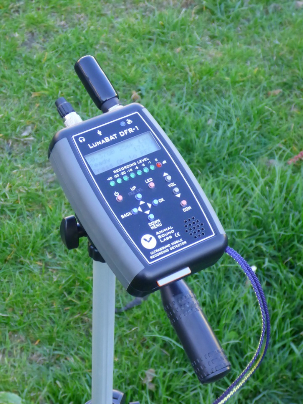 Bat Detector Reviews