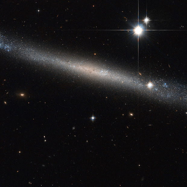 Edge-on Spiral Galaxy IC 2233