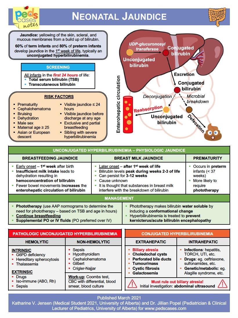 Neonatal Jaundice Cheat Sheet