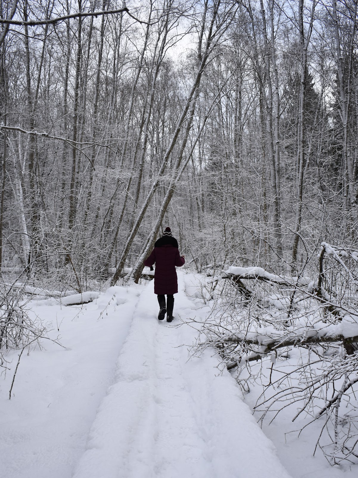 Advent In Ulm World Map Duo