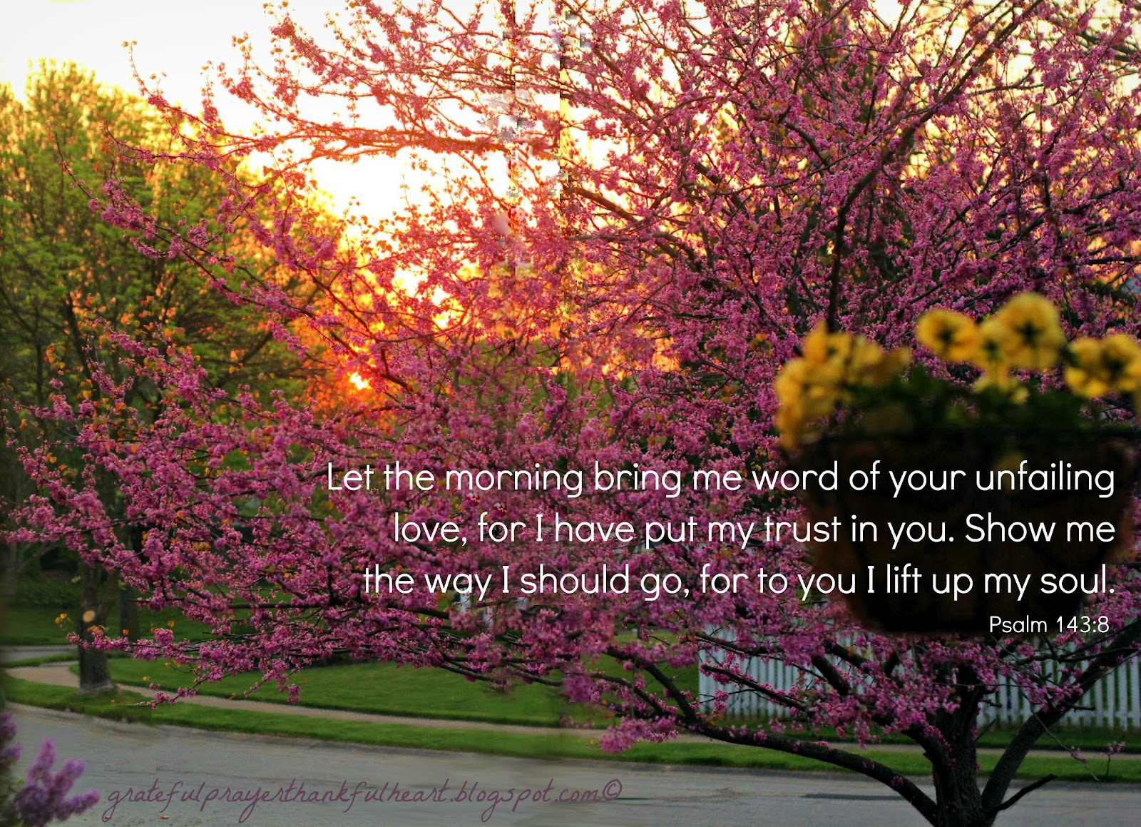 Sunrise Bible Quotes QuotesGram sunrise-bible-quotes-quotesgram