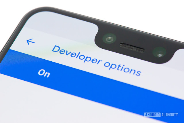 What is Developer Options? How can I see it?