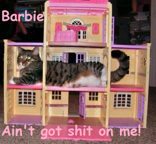 Oh My Freaking Stars!: Cats and Barbie!