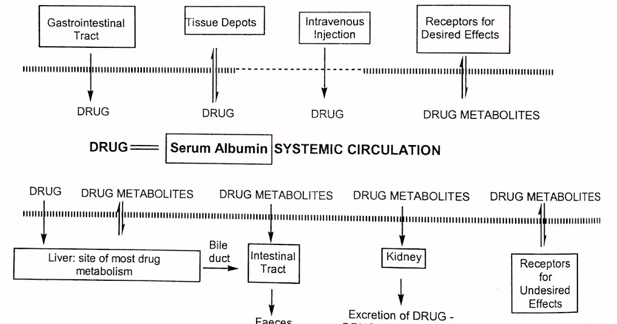 What is Absorption of Drug