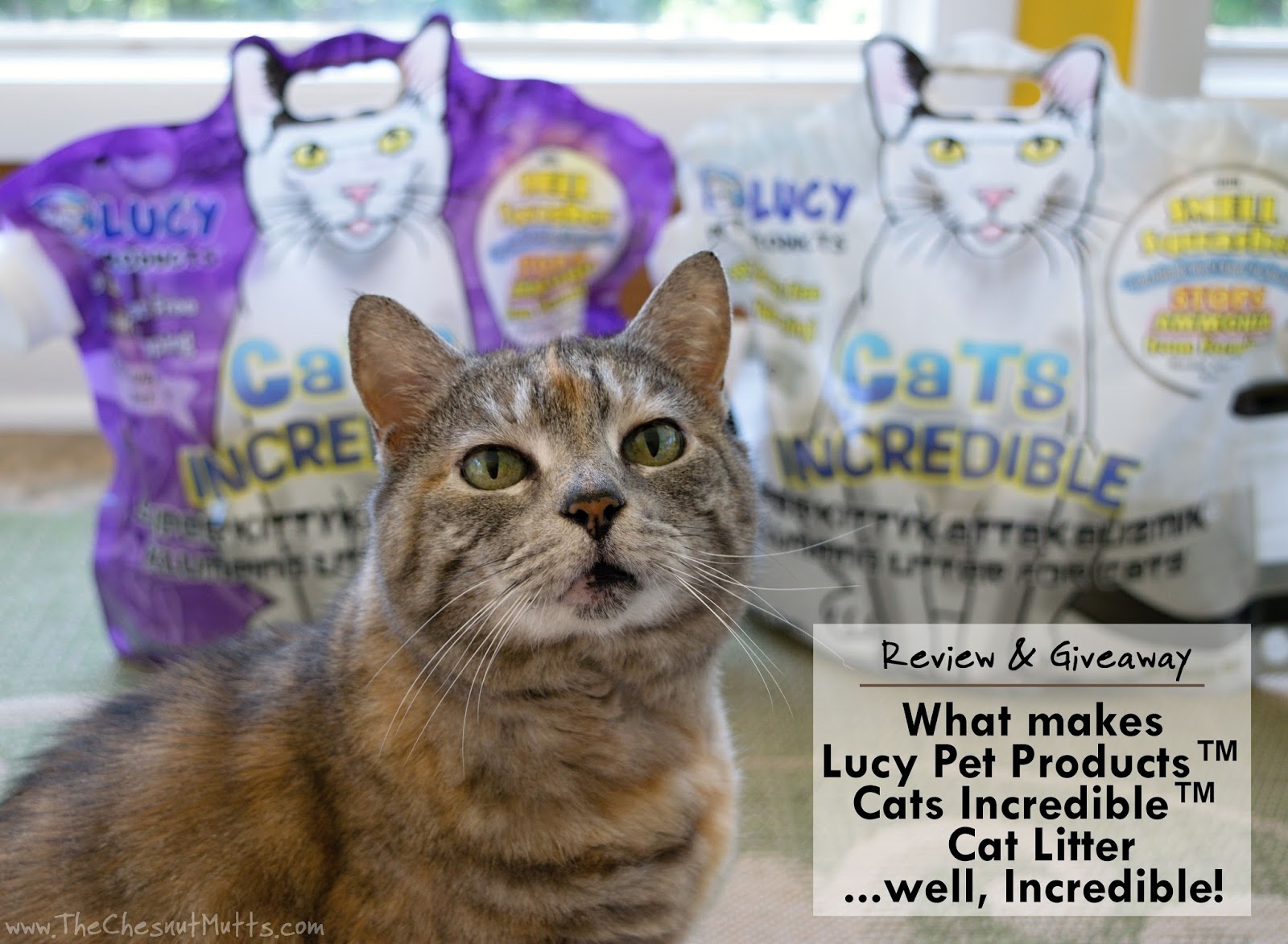 Review & Giveaway What makes Lucy Pet Products™ Cats Incredible™ Cat