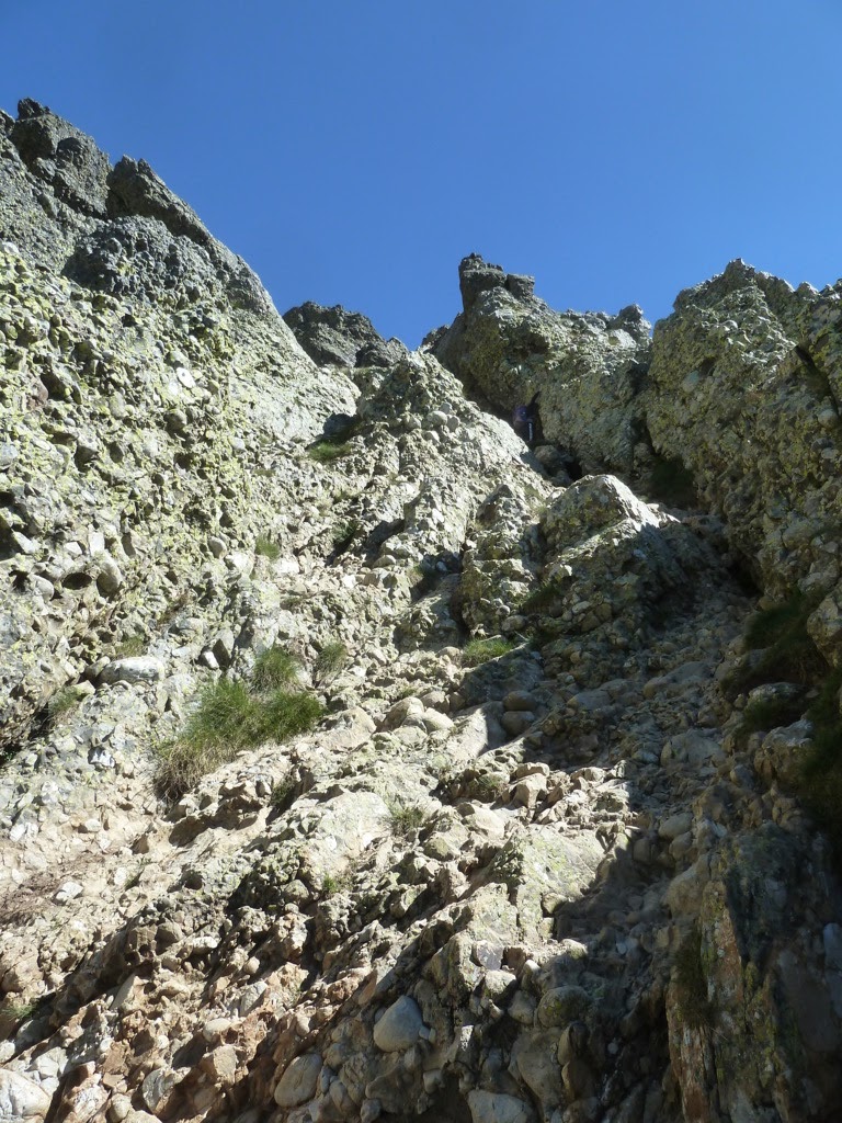 CURAVACAS, 2.524m (La montaña verdinegra) P1210911%2B%2528FILEminimizer%2529