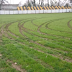 Βασιλικά: Εικόνες ντροπής στο γήπεδο του "Αετού" - Άγνωστος κατέστρεψε τον αγωνιστικό χώρο - Φωτογραφίες