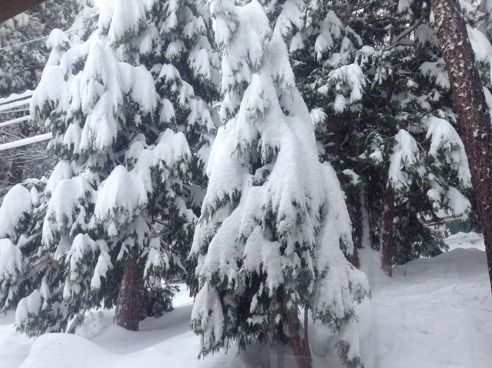 TheAwakenedSoul Snow From the Cabin Window in Wrightwood, California