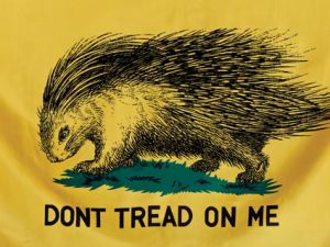 Libertarian Hedgehog