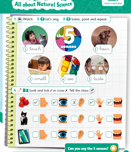 Homework in french picture